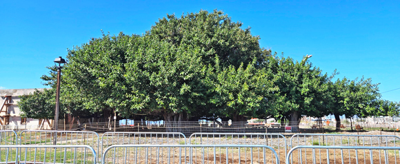 Send your best photos from Maui County to mauiphotos@mauinews.com for a chance to see them featured on our website and in our weekly print edition.